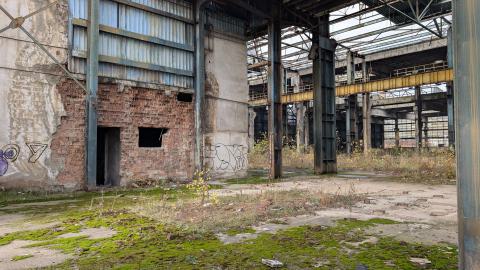 November 2025 - PXL_20251117_093911567.jpg