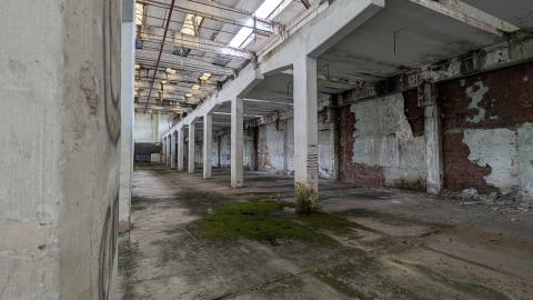 November 2025 - PXL_20251117_104242467.jpg