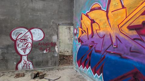 November 2025 - PXL_20251117_104430680.jpg