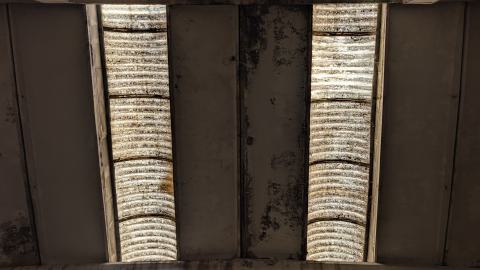 November 2025 - PXL_20251117_102516257.jpg