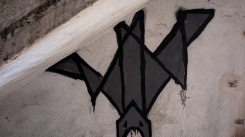 November 2025 - PXL_20251117_101846383.jpg