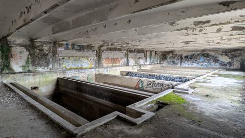 November 2025 - PXL_20251117_110657639.jpg