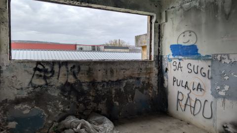 November 2025 - PXL_20251117_110836599.jpg