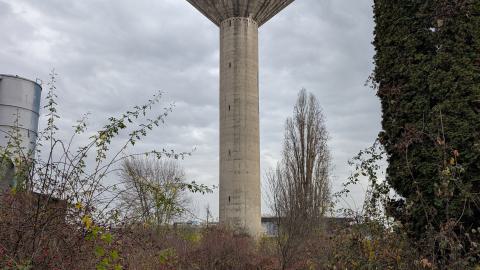 November 2025 - PXL_20251117_111009557.jpg