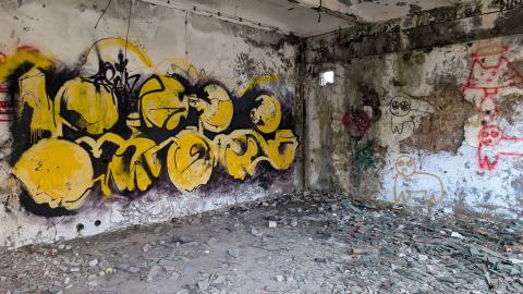 November 2025 - PXL_20251117_111023861.jpg