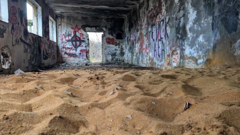 November 2025 - PXL_20251117_111108461.jpg