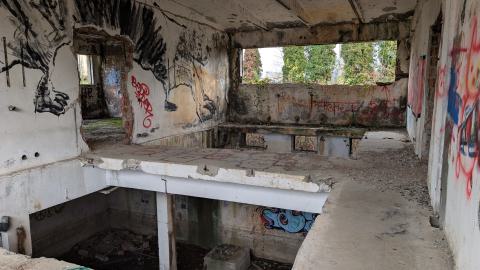 November 2025 - PXL_20251117_111135684.jpg