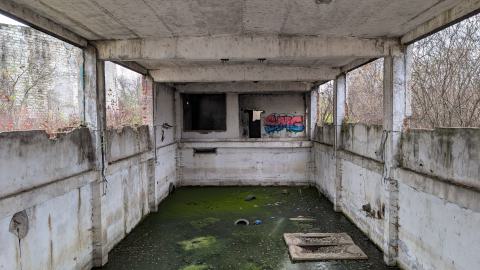 November 2025 - PXL_20251117_111340093.jpg