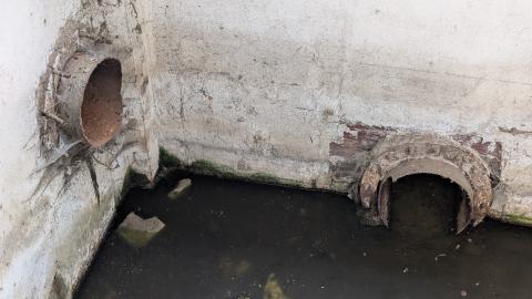 November 2025 - PXL_20251117_111508509.jpg