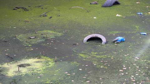 November 2025 - PXL_20251117_111521610.jpg