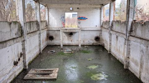 November 2025 - PXL_20251117_111823210.jpg