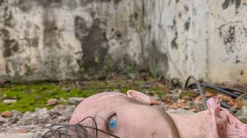 November 2025 - PXL_20251117_111719187.jpg