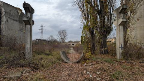 November 2025 - PXL_20251117_112428917.jpg