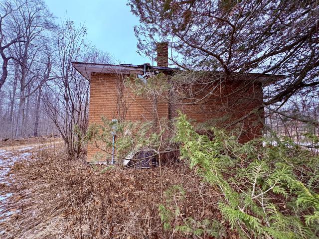 December 26, 2025 - IMG_2316.jpg