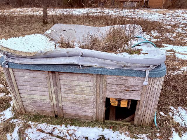 December 26, 2025 - IMG_2327.jpg