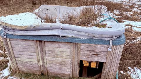 Photo from December 26, 2025