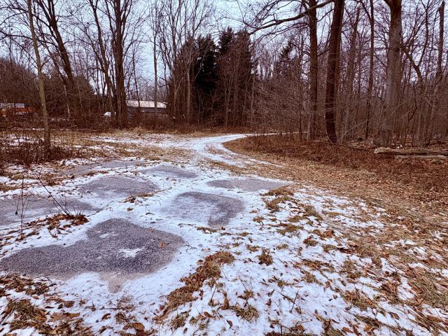 December 26, 2025 - IMG_2329.jpg