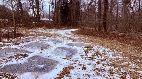 December 26, 2025 - IMG_2329.jpg