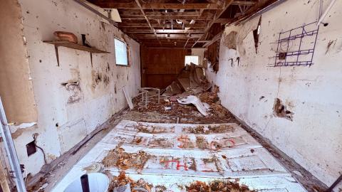 December 26, 2025 - IMG_2331.jpg