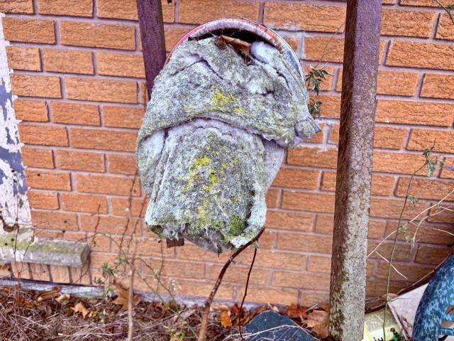 December 26, 2025 - IMG_2340.jpg