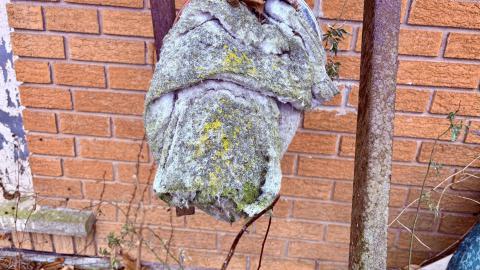 December 26, 2025 - IMG_2340.jpg