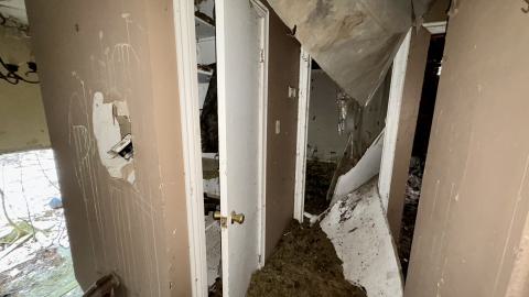 December 26, 2025 - IMG_2363.jpg