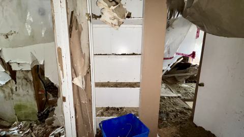 December 26, 2025 - IMG_2367.jpg