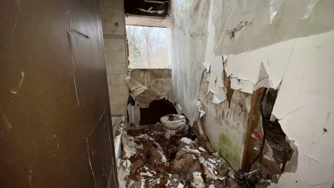 December 26, 2025 - IMG_2368.jpg