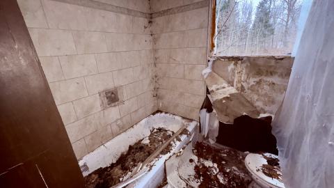 December 26, 2025 - IMG_2370.jpg