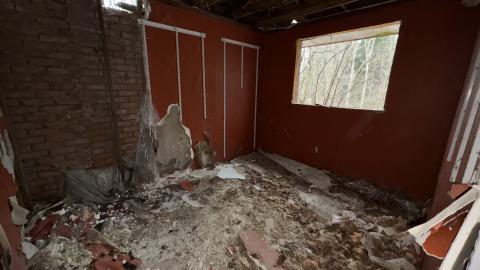 December 26, 2025 - IMG_2373.jpg