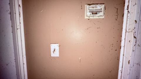 December 26, 2025 - IMG_2374.jpg