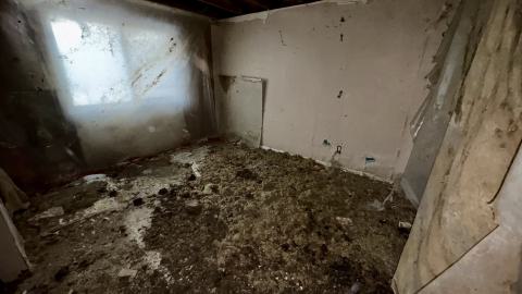 December 26, 2025 - IMG_2375.jpg