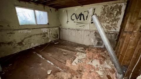 December 26, 2025 - IMG_2393.jpg