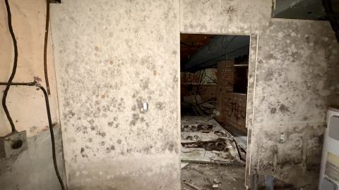 December 26, 2025 - IMG_2423.jpg