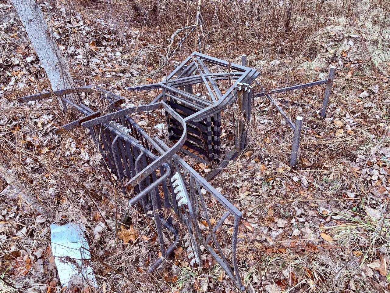 December 26, 2025 - IMG_2437.jpg