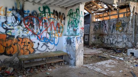 December 2025 - PXL_20251227_085629068.jpg