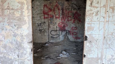 December 2025 - PXL_20251227_085051682.jpg