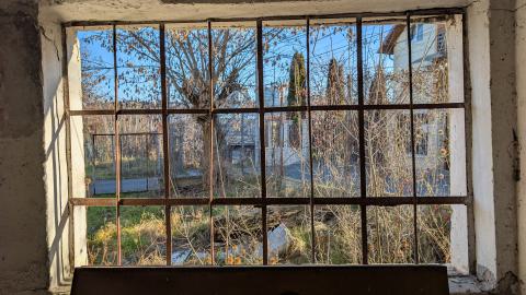 December 2025 - PXL_20251227_084759861.jpg