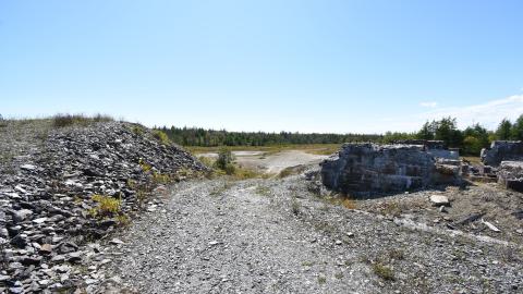 Ruins in Goldenville - ADS_5306.JPG