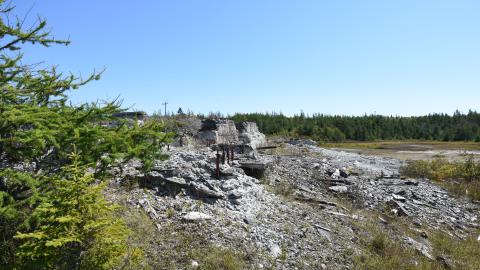 Ruins in Goldenville - ADS_5314.JPG