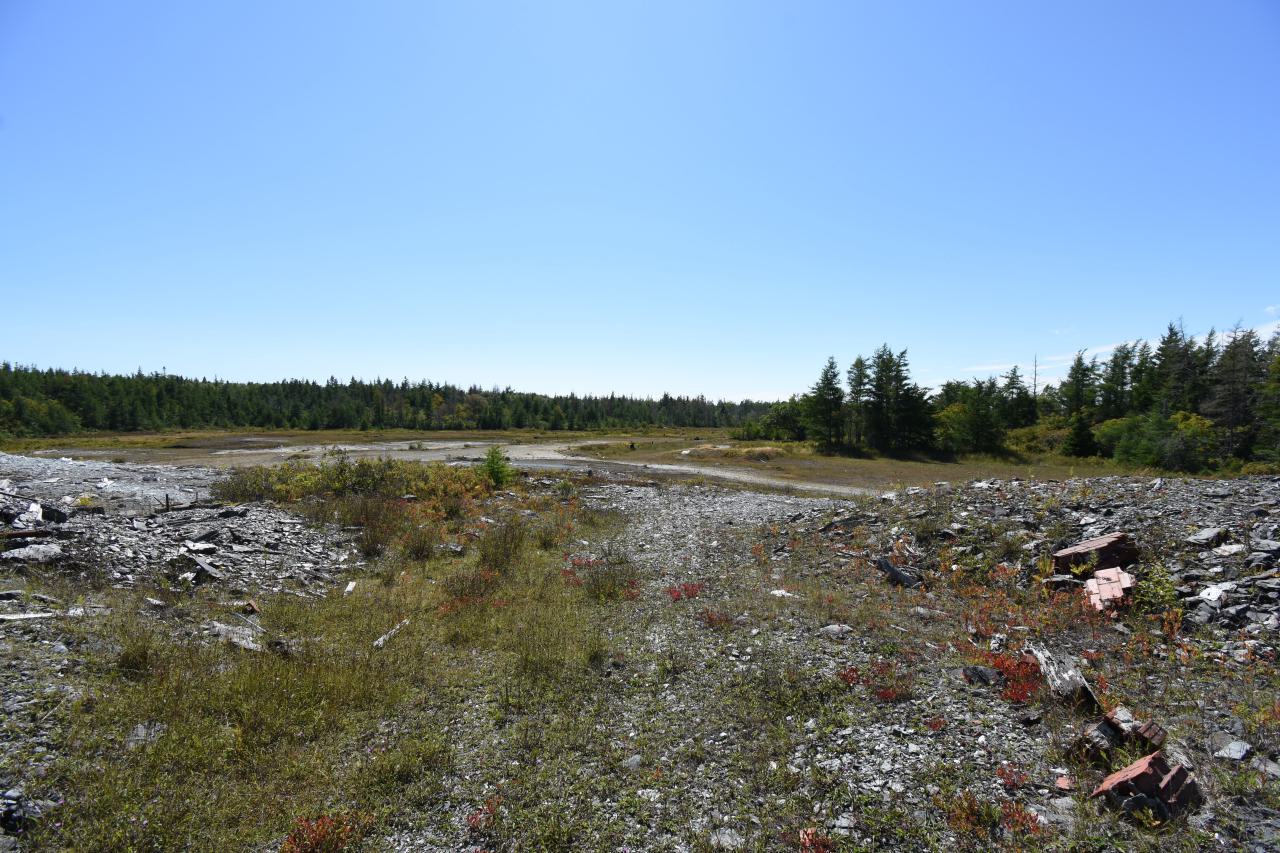 Ruins in Goldenville - ADS_5316.JPG