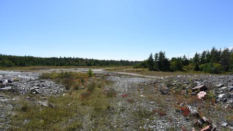 Ruins in Goldenville - ADS_5316.JPG