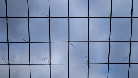 December 2025 - original_c758ab05-ec17-44fc-83f3-eba768e8b77a_PXL_20251228_130858581.jpg