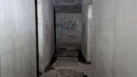 December 2025 - original_634072c4-495c-40c1-8d19-07123719b1cd_PXL_20251228_131710648.jpg