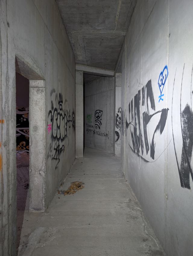 December 2025 - PXL_20251228_132101884.jpg