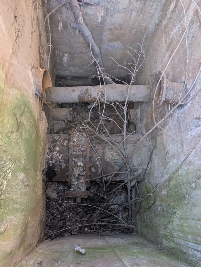 Water Stagnation photo 2