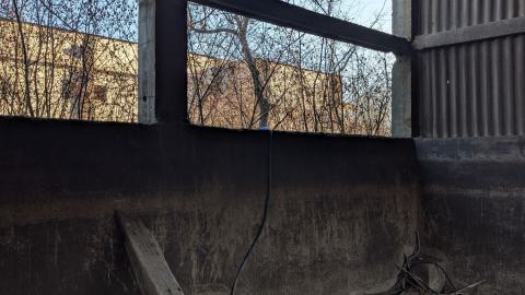 December 2025 - PXL_20251229_113848747.jpg