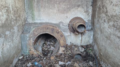 December 2025 - PXL_20251229_113149777.jpg