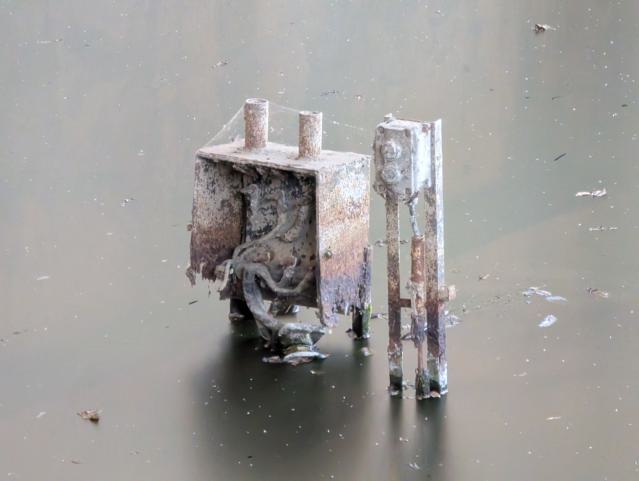 Water Stagnation photo 4