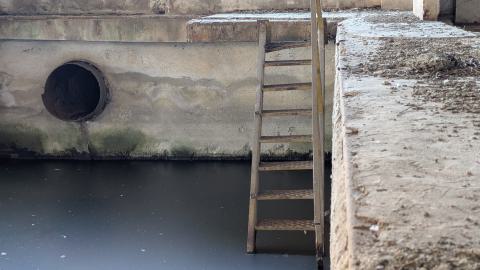 December 2025 - PXL_20251229_111723333.jpg